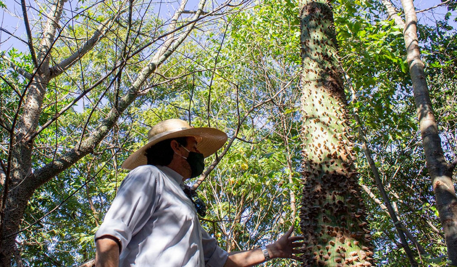 revitalizacao-urbana-t5jz7